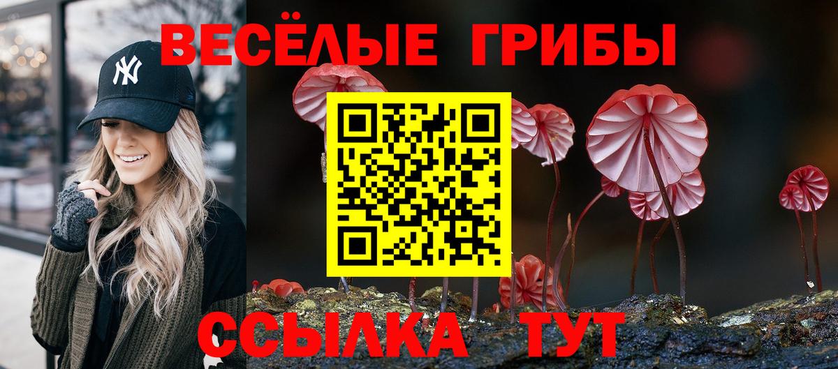 магазин продажи   Вход с VPN  Кирово-Чепецк  Галлюциногенные грибы Psilocybe 